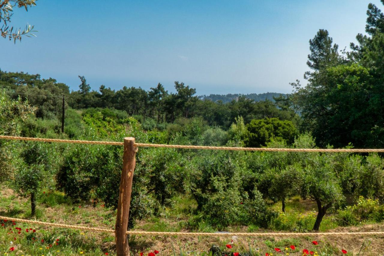Luxury Dome Tents Ikaria Ap'Esso2 Raches  Zewnętrze zdjęcie